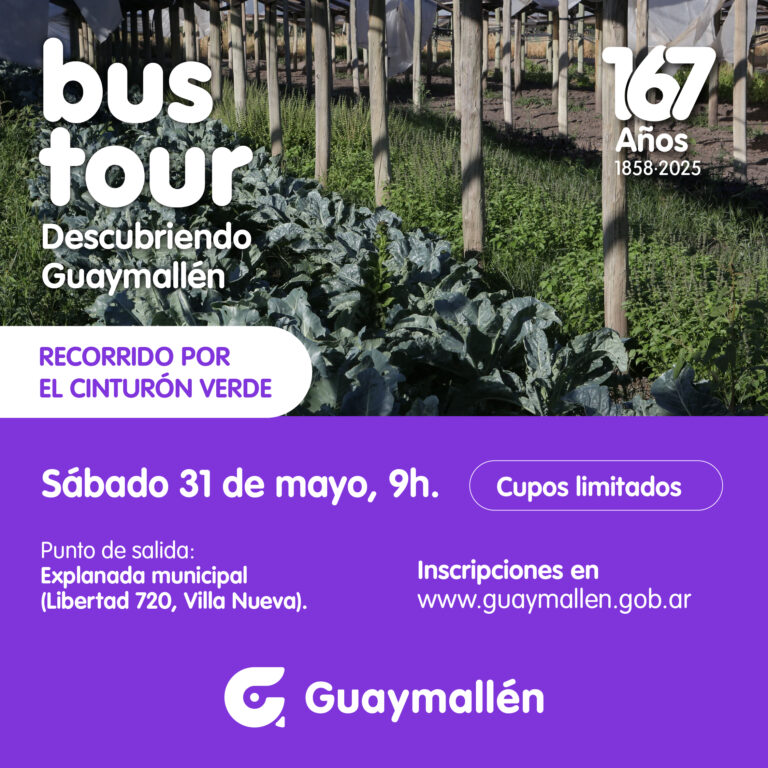 PLACA_bustour VERDE_01