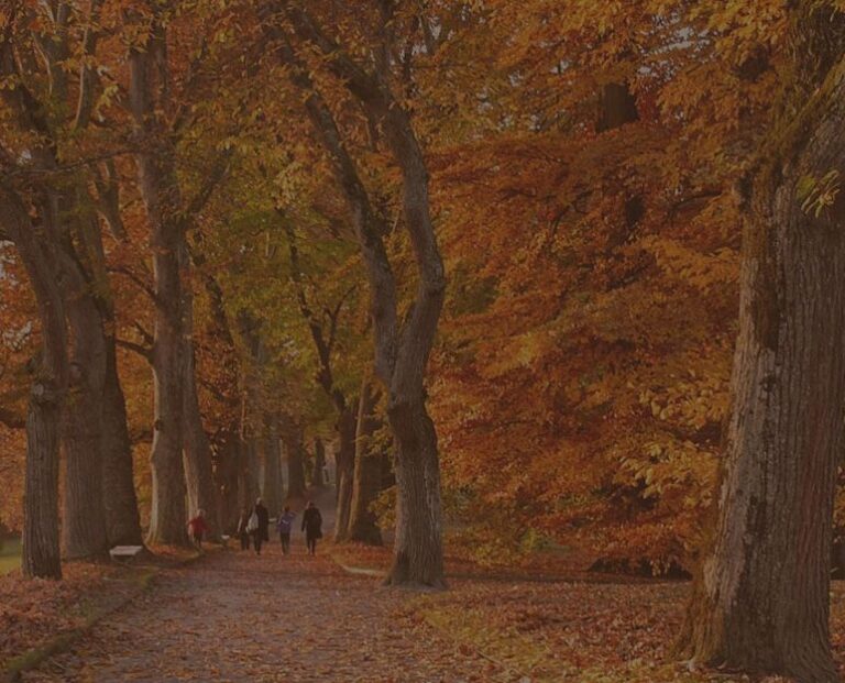 otoño-Mendoza-web-772x624