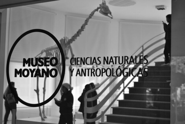 Museo Moyano 1