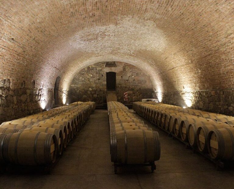 Bodegas-Caro-web-772x624