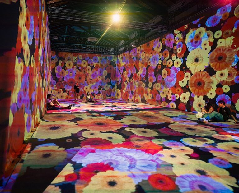 Muestra-Van-Gogh-1-web-1-772x624