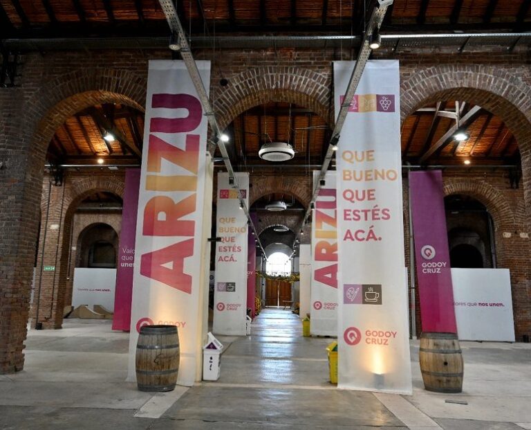 Arizu-ilustrativa-772x624