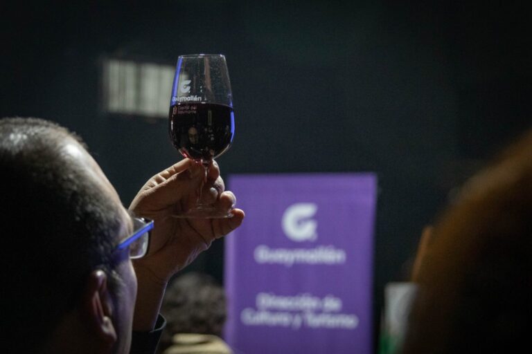 Brindarte-con-Cine-11-de-37-1536x1024