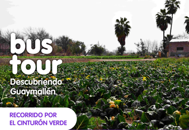 PLACA_bustour VERDE_01