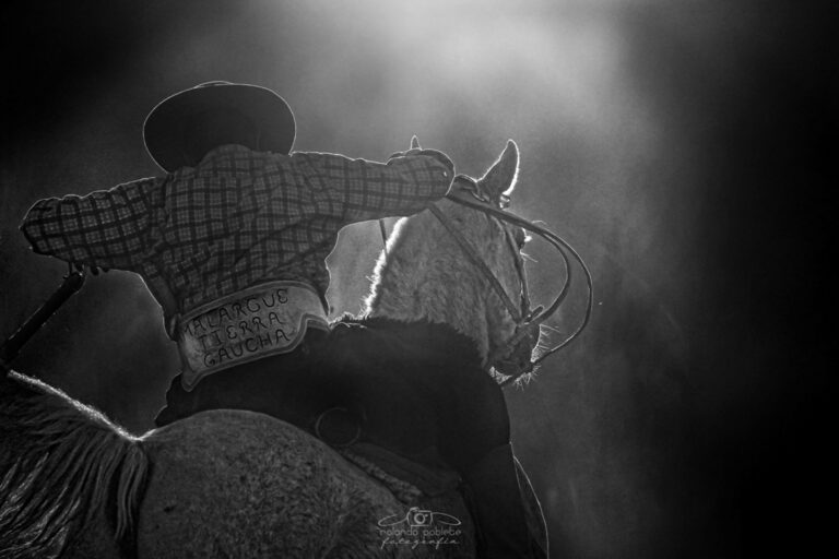 Malargüe Gaucho