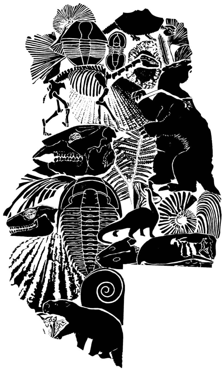 Paleoarte (1)