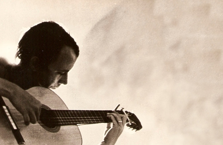 el necio